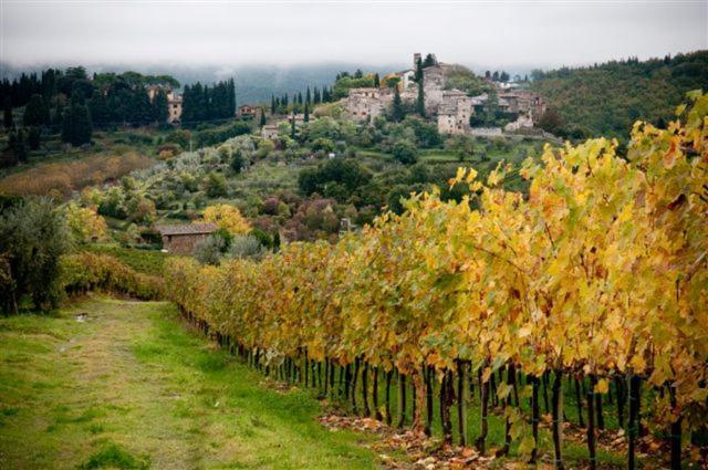 Agriturismo Podere Torre Greve in Chianti Extérieur photo