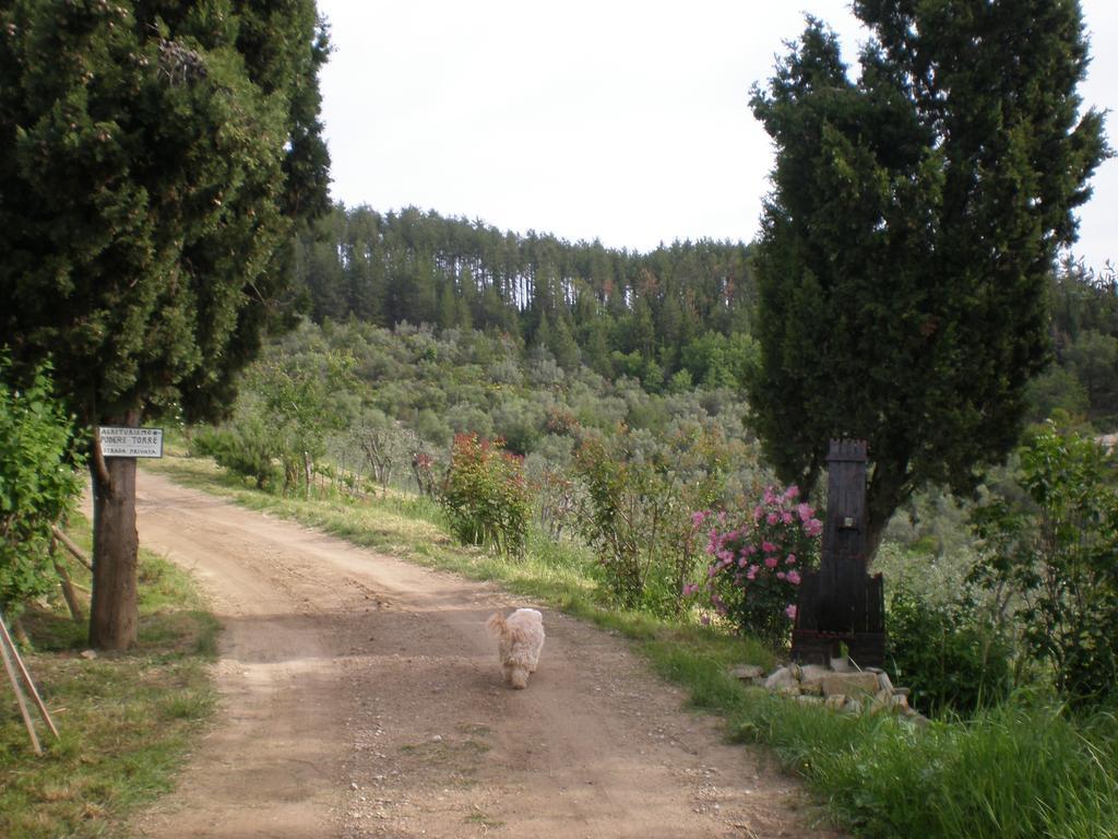 Agriturismo Podere Torre Greve in Chianti Extérieur photo