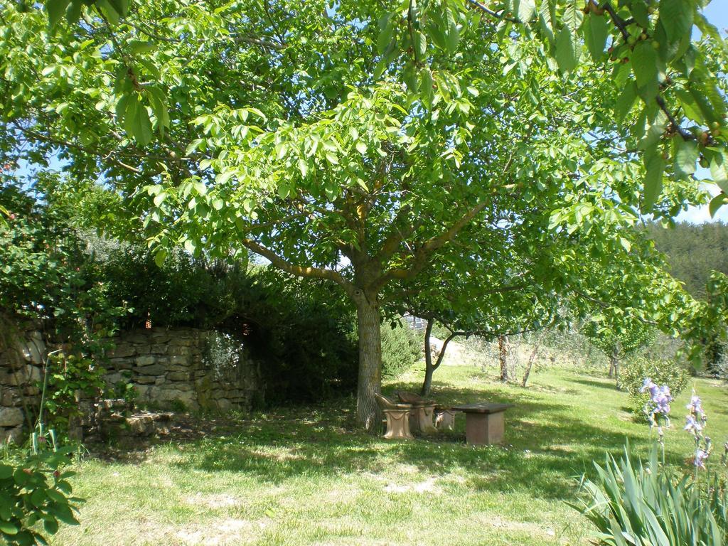 Agriturismo Podere Torre Greve in Chianti Extérieur photo